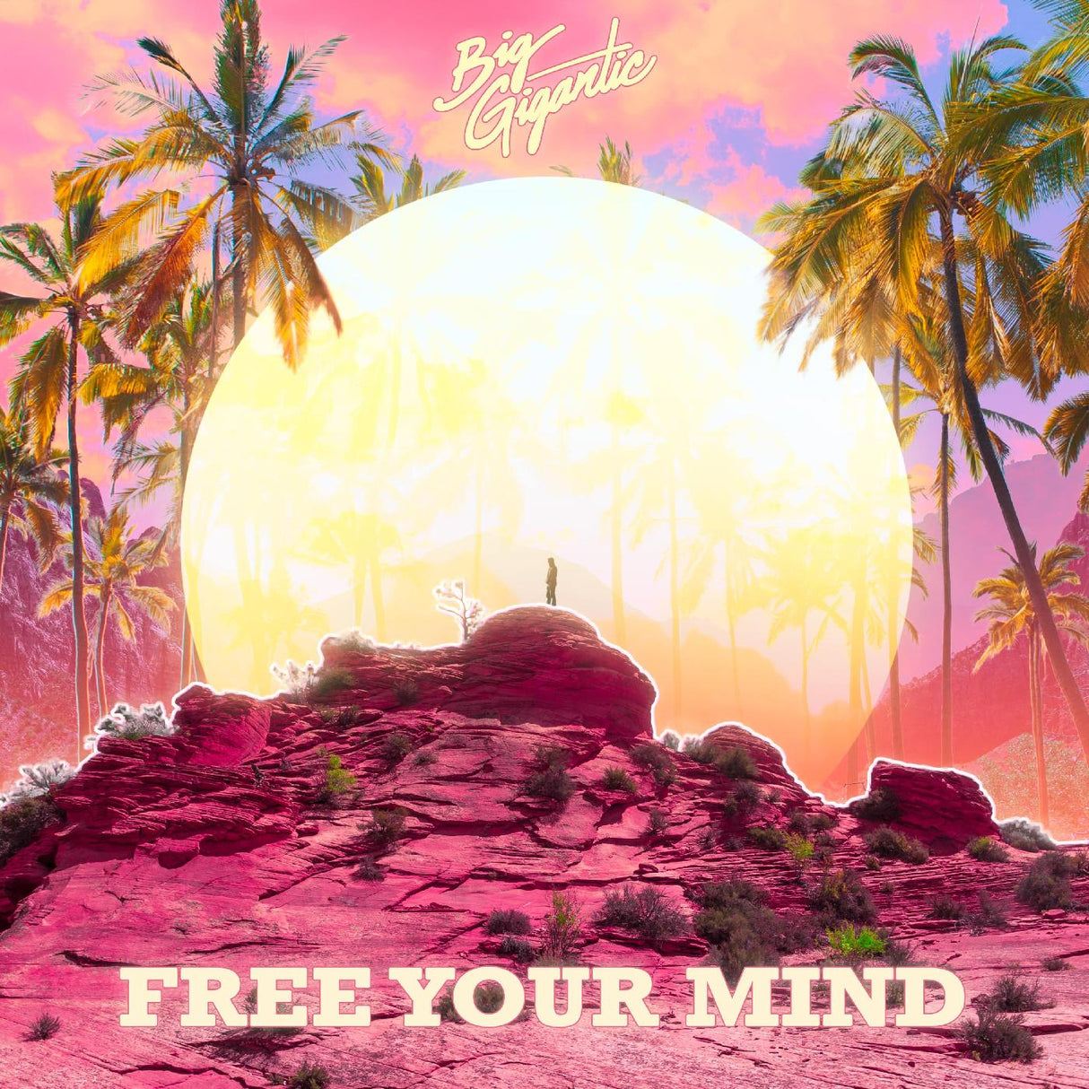 Big Gigantic - Free Your Mind [CD]