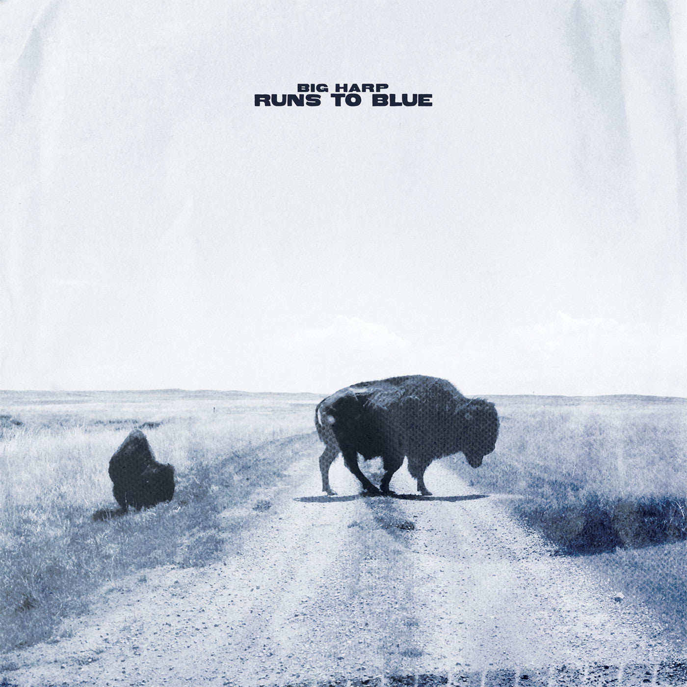 Runs To Blue (Opaque Blue Vinyl) [Vinyl]