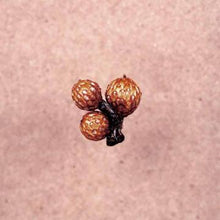 Und Die Scheibe Andert Sich Immer [CD]