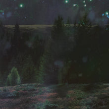 BIGENERIC - Spielmanda [CD]