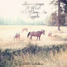 Sometimes I Wish We Were an Eagle [Vinyl]