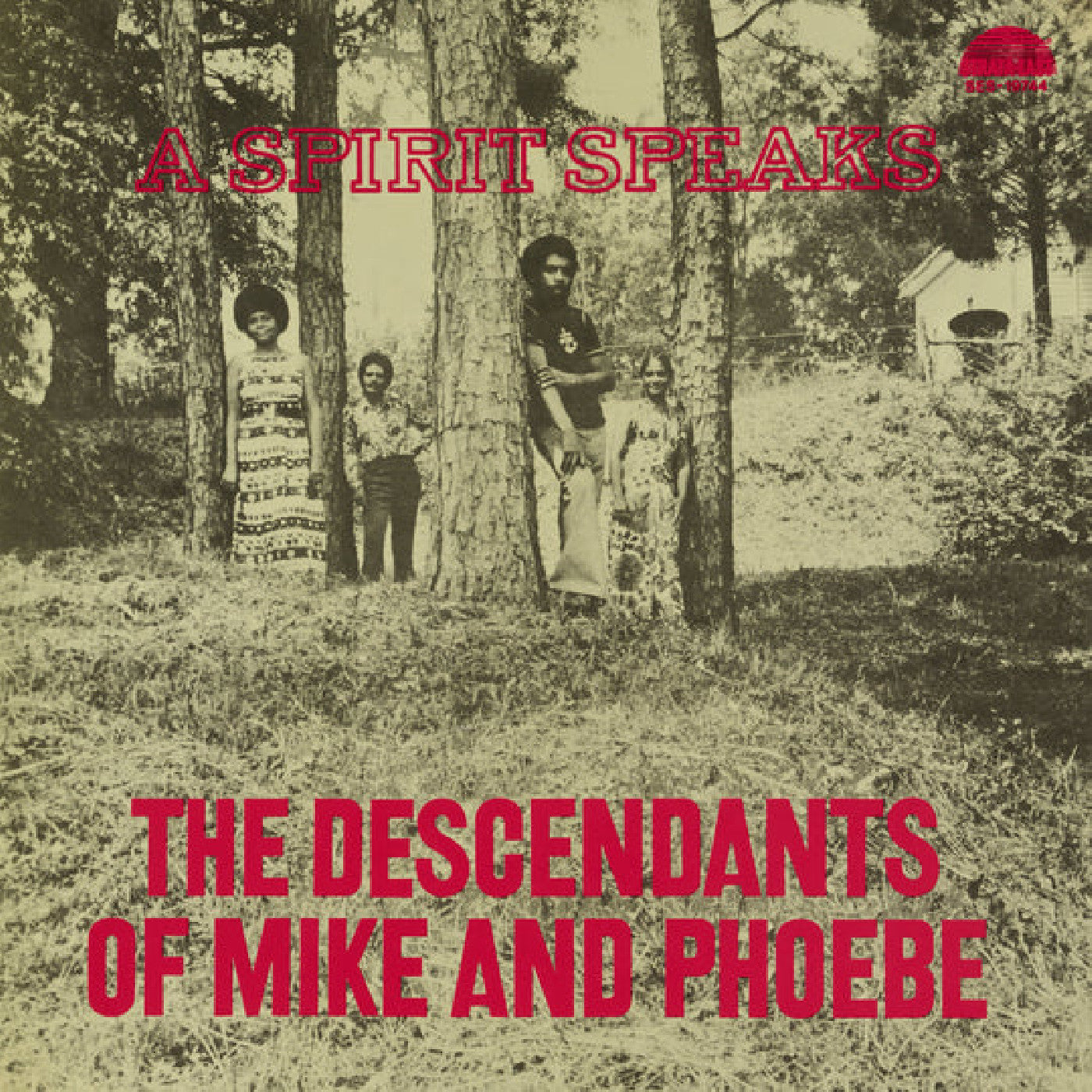 The Descendants Of Mike And Phoebe - A Spirit Speaks (Deluxe Edition) [Vinyl]