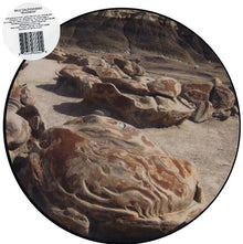 BILLY DALESSANDRO - Boomers [Vinyl]