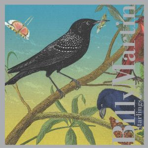 Starlings [CD]