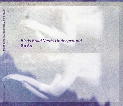 BIRDS BUILD NESTS UNDERGROUND - So As [CD]