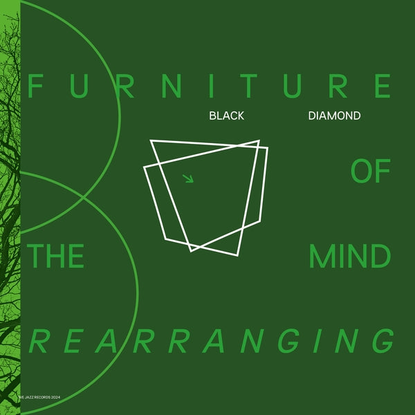Furniture Of Mind Rearranging [Vinyl]