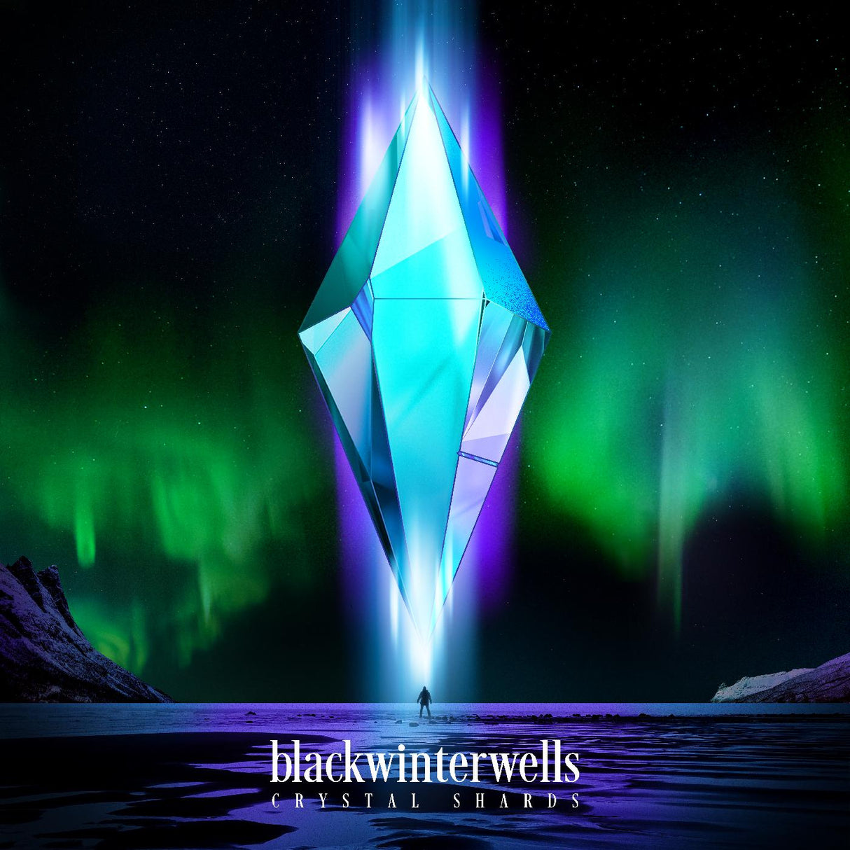 blackwinterwells - Crystal Shards [Vinyl]