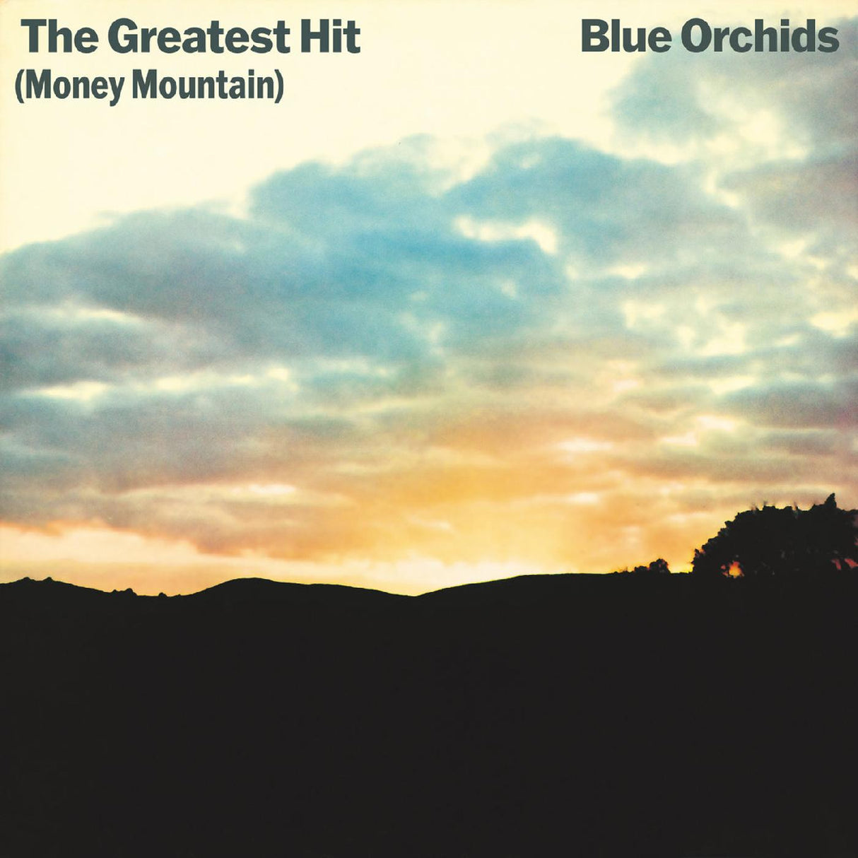 Blue Orchids - The Greatest Hit (Money Mountain) [CD]