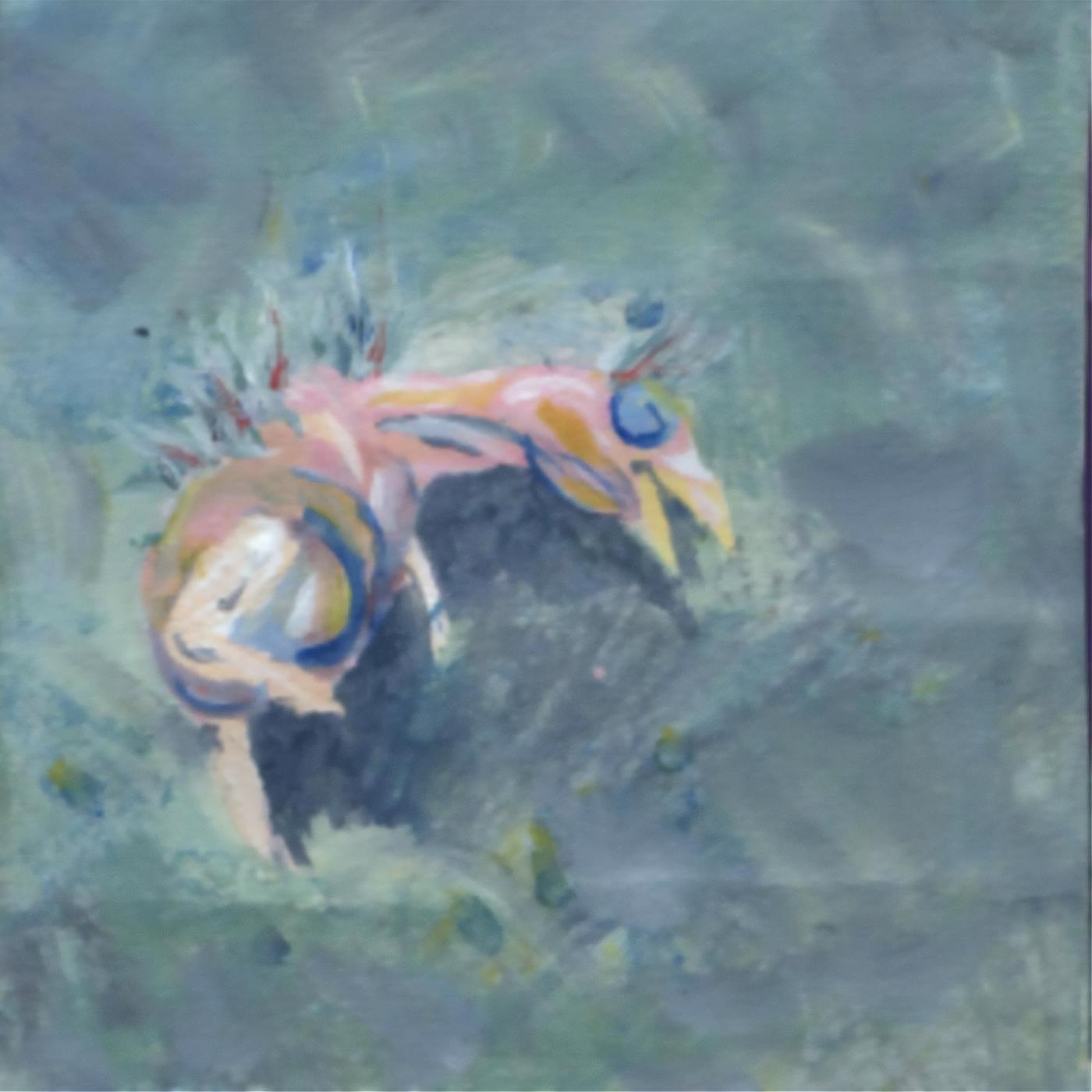 return [Vinyl] - Paladin Vinyl