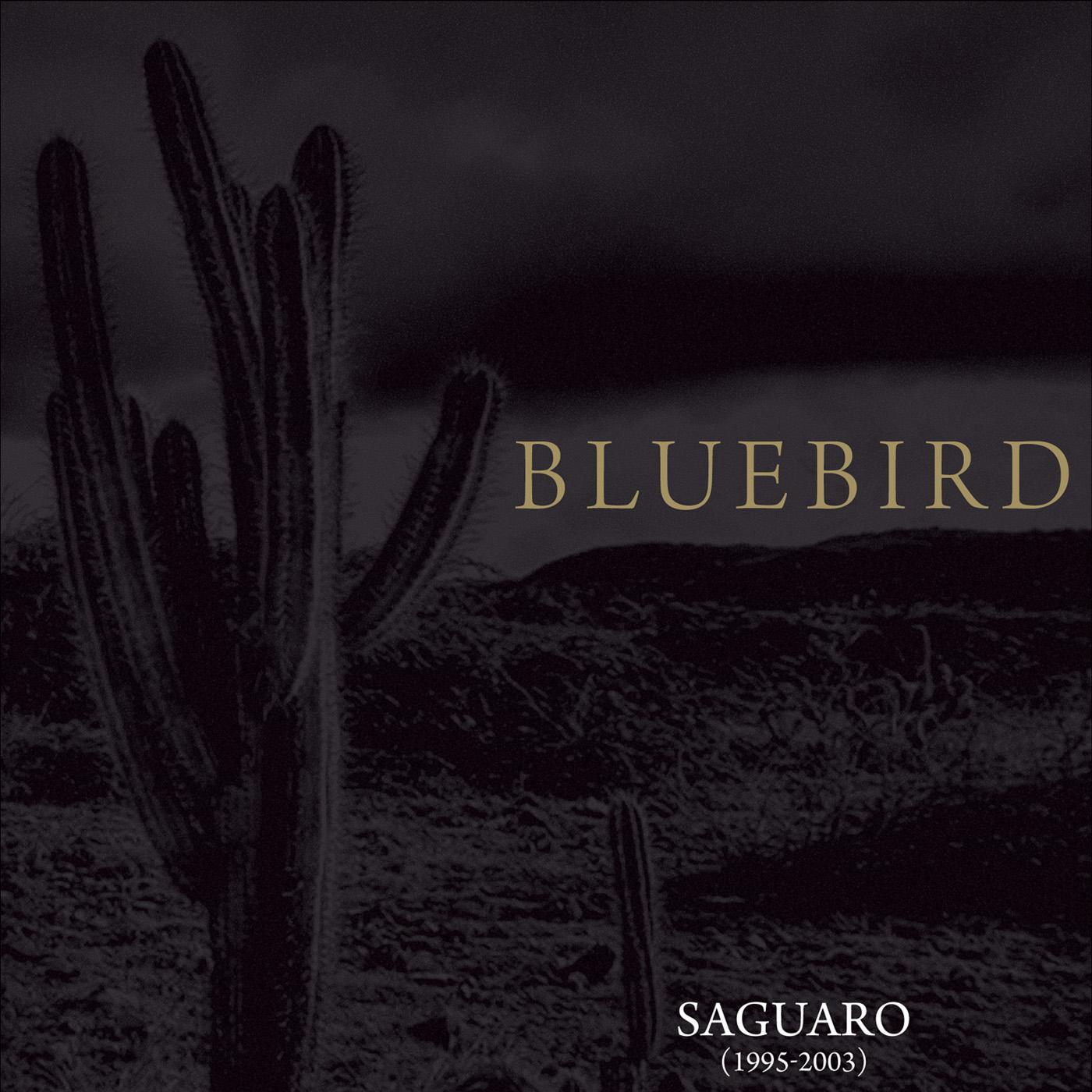 Saguaro (1995-2003) [CD]