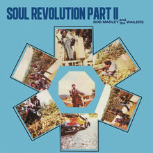 Bob Marley & The Wailers - Soul Revolution Part 2 [Vinyl]
