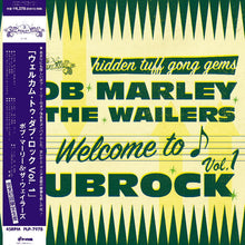 Welcome To Dubrock [Vinyl]