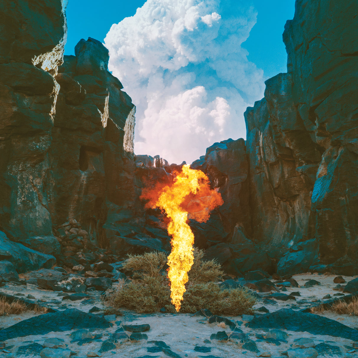 Bonobo - Migration [CD]