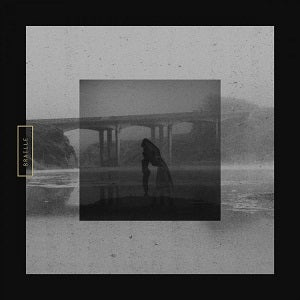 Braille - Mute Swan [Vinyl] - Paladin Vinyl