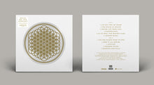 Sempiternal (Indie Exclusive, Limited Edition, Picture Disc Vinyl, Anniversary Edition) [Vinyl]