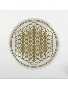 Sempiternal (Indie Exclusive, Limited Edition, Picture Disc Vinyl, Anniversary Edition) [Vinyl]