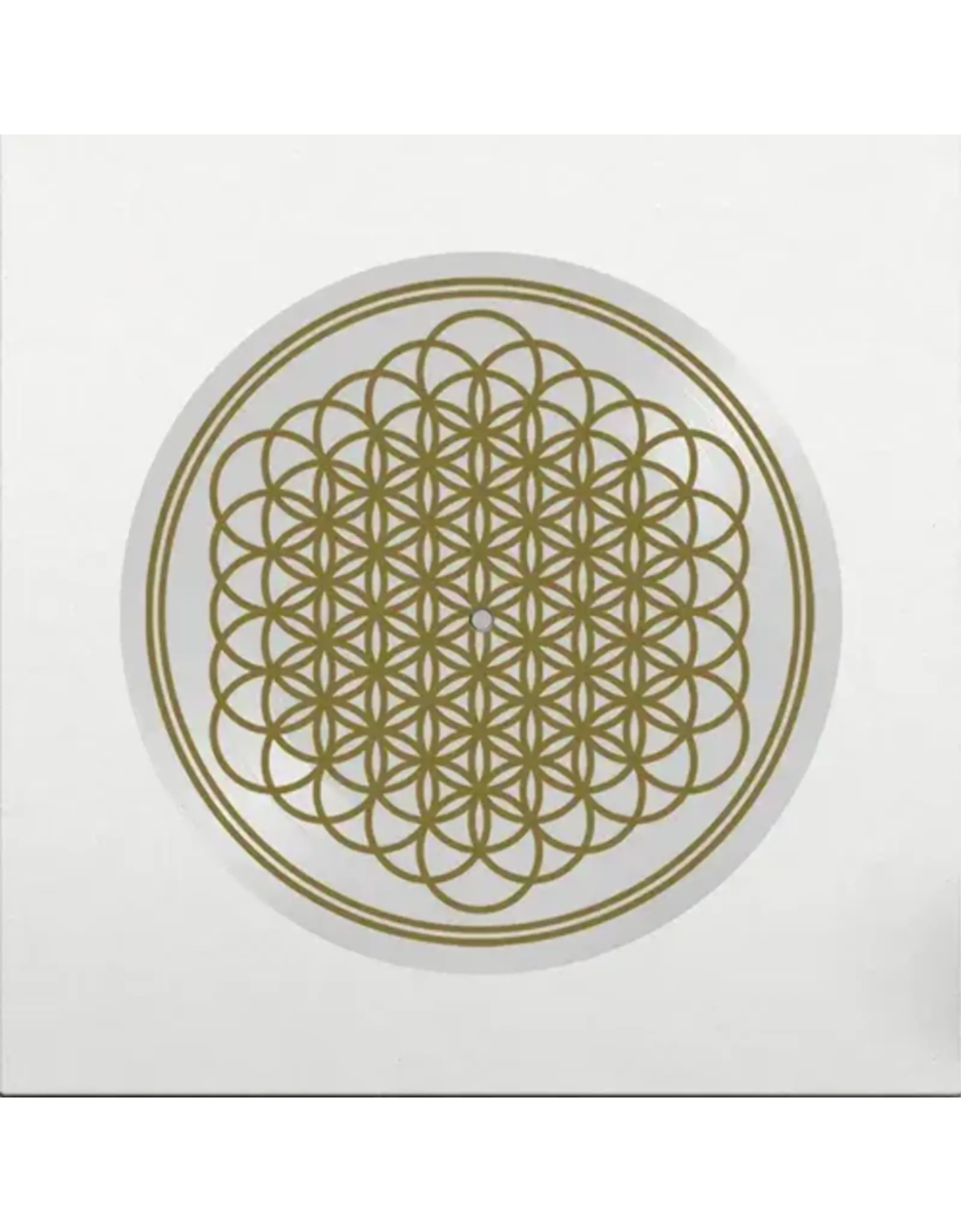 Sempiternal (Indie Exclusive, Limited Edition, Picture Disc Vinyl, Anniversary Edition) [Vinyl]