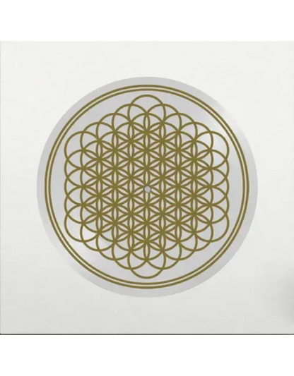 Sempiternal (Indie Exclusive, Limited Edition, Picture Disc Vinyl, Anniversary Edition) [Vinyl]