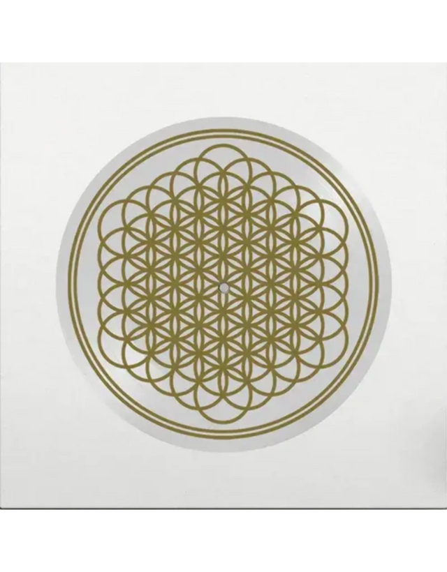 Bring Me the Horizon - Sempiternal (Indie Exclusive, Limited Edition, Picture Disc Vinyl, Anniversary Edition) [Vinyl]