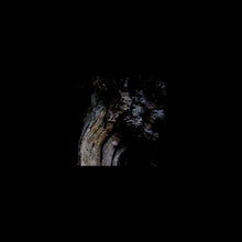 BRUNNEN - The Garden Of Perpetual Dreams [Vinyl]