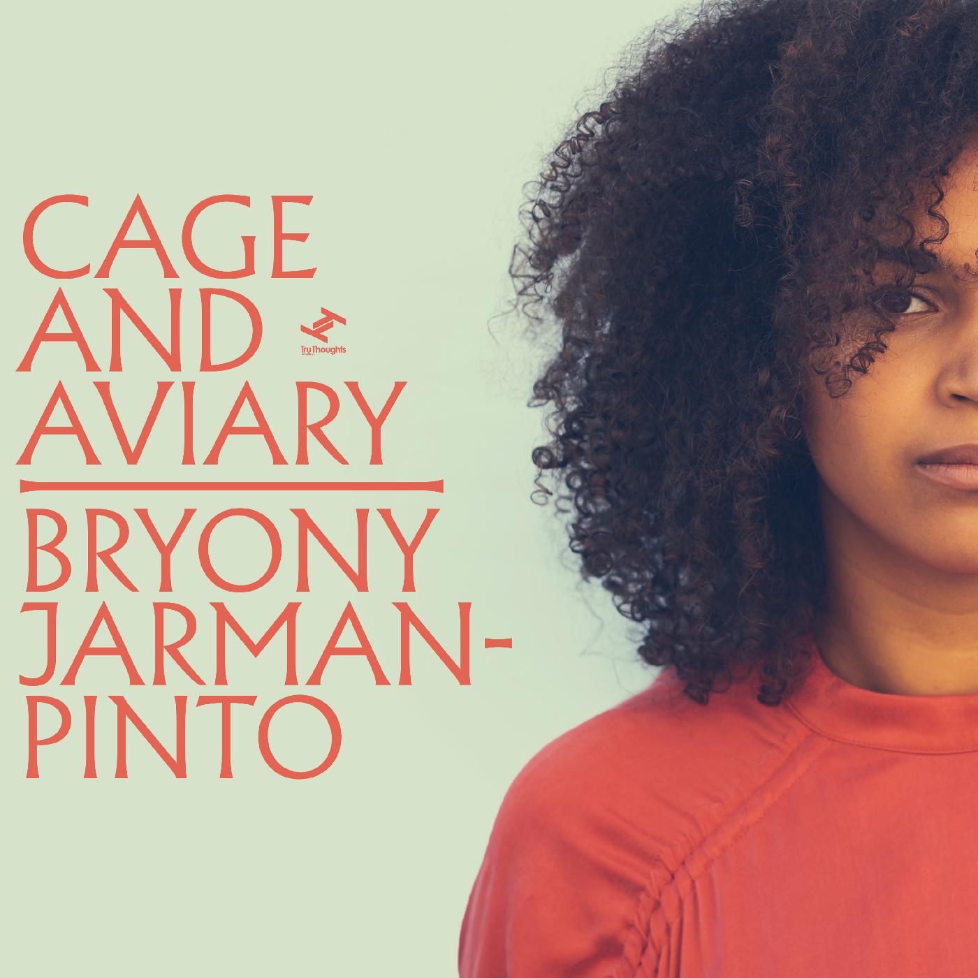 Bryony Jarman-Pinto - Cage and Aviary [Vinyl] - Paladin Vinyl