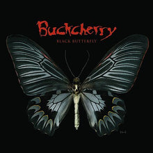 Black Butterfly [CD]