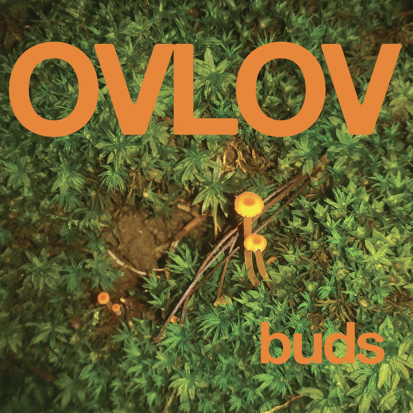 Ovlov - Buds (IEX, Orange) [Vinyl] - Paladin Vinyl