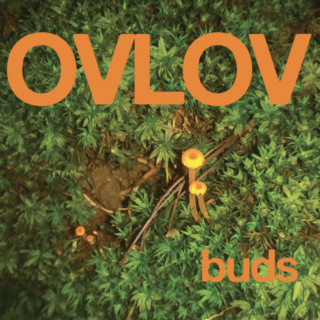 Ovlov - Buds (IEX, Orange) [Vinyl]