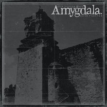 Amygdala "Our Voices Will Soar Forever" CD
