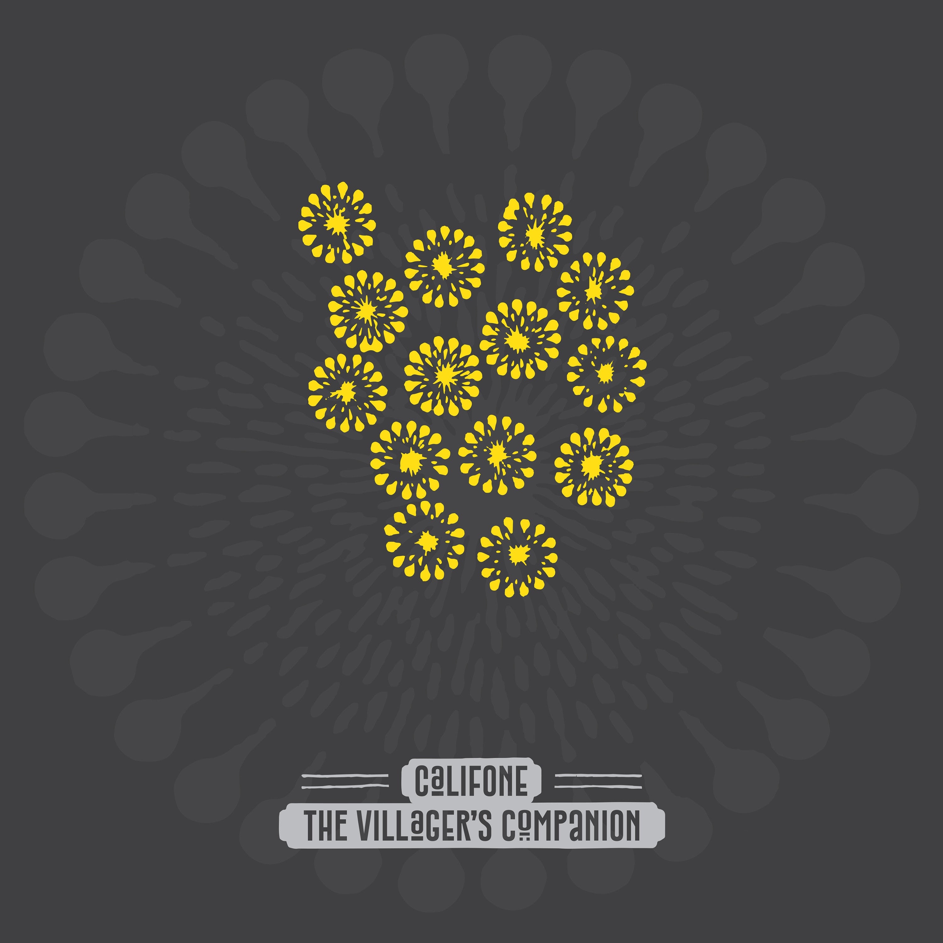 The Villager'S Companion (Indie Exclusive Firework Shimmer Vinyl) [Vinyl]