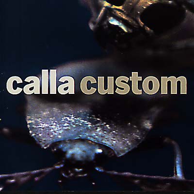Custom (The Remix Project) [CD]