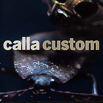 CALLA - Custom (The Remix Project) [CD]