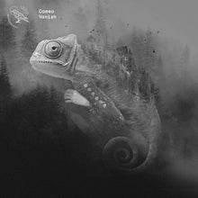 Vanish [Vinyl]