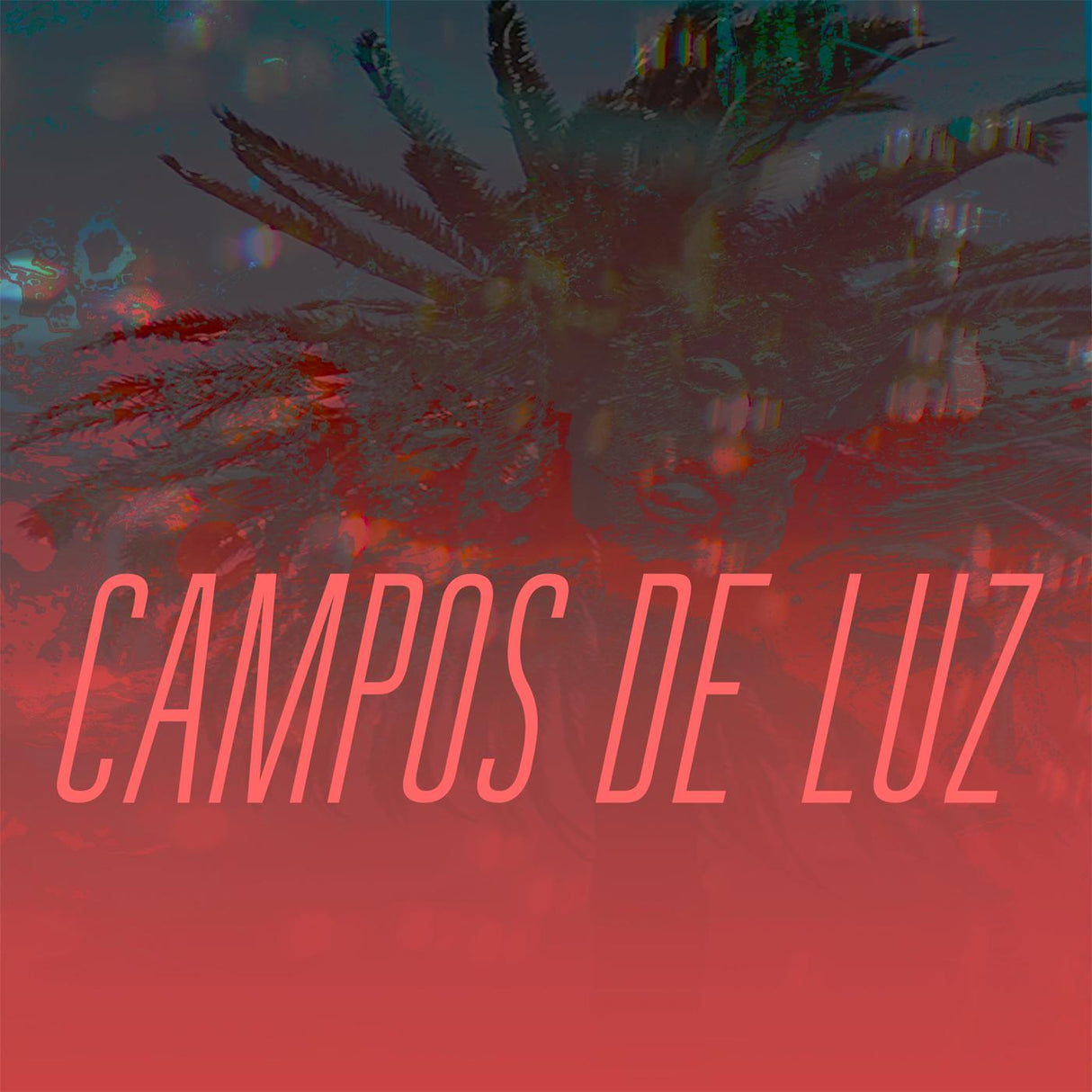 Campos de Luz - Campos de Luz [CD]