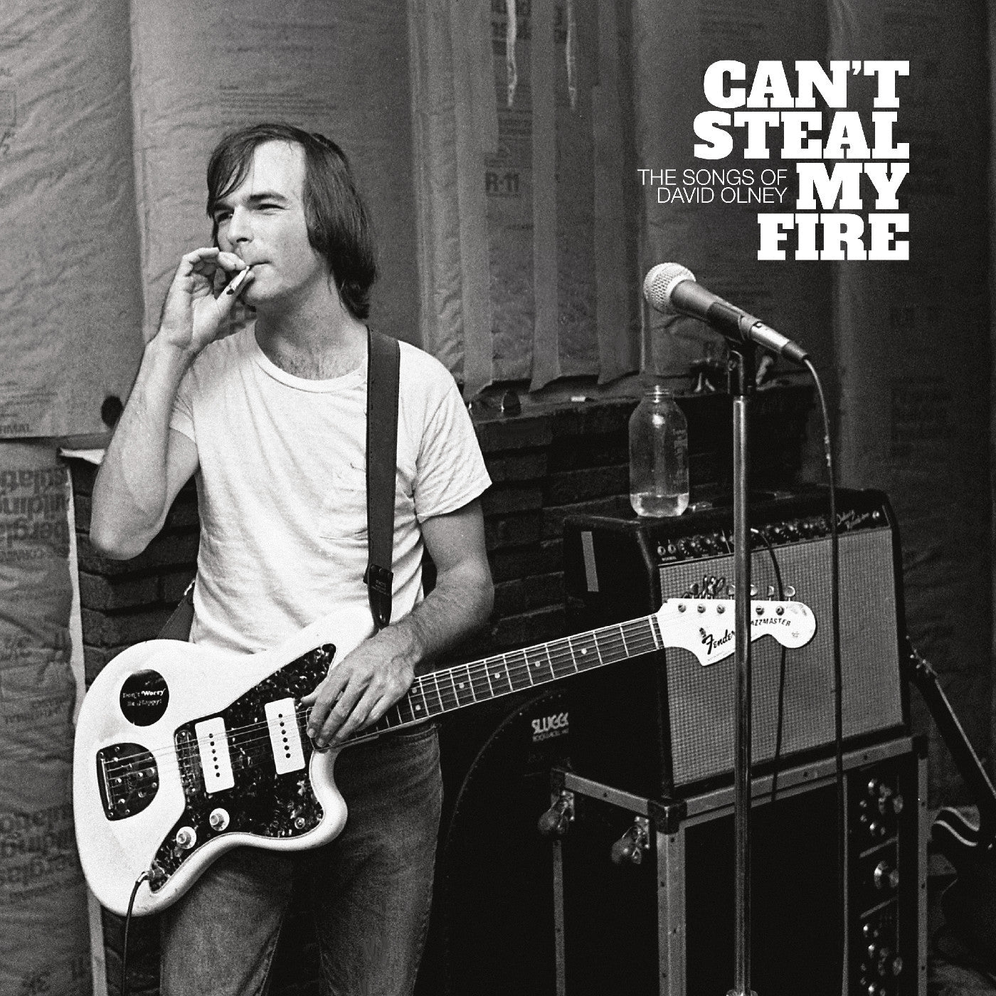 Various Artists - Can't Steal My Fire: The Songs of David Olney [Vinyl]