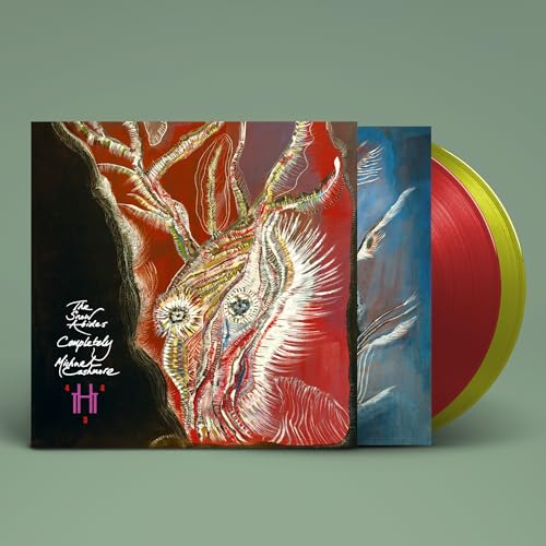 The Snow Abides Completely [Vinyl]