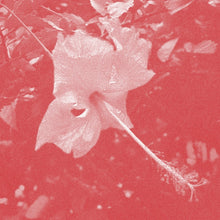 CELER - Poulaine [CD] [CD]