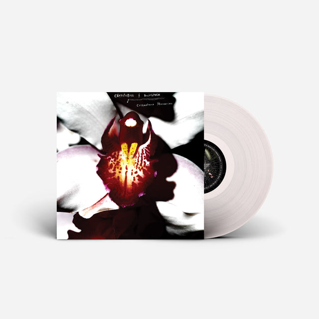 Chrystabell & David Lynch - Cellophane Memories (Clear) [Vinyl]