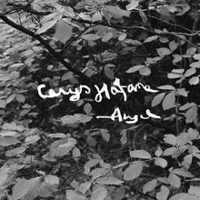 Angel [Lp] [Vinyl]