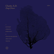 Deep Diver [Vinyl]