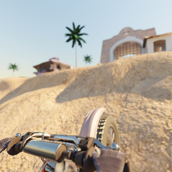 Dirt Bike Vacation [Vinyl]