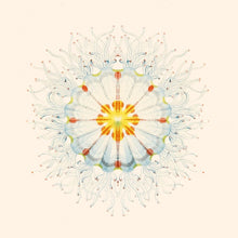 CHARLIE CHARLIE - Litte Things [Vinyl]