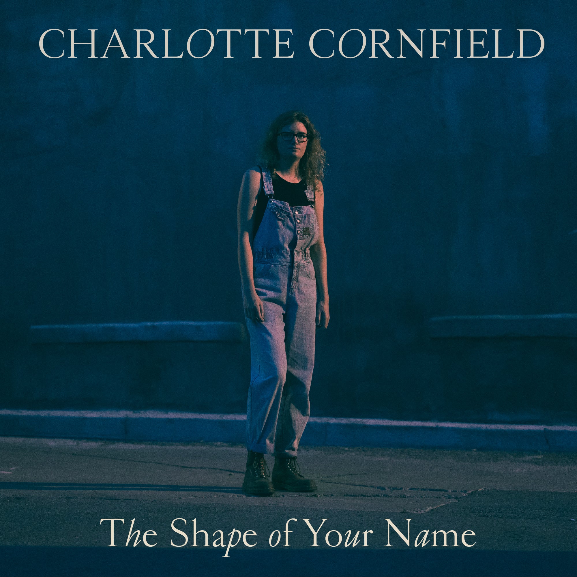 The Shape Of Your Name [CD]
