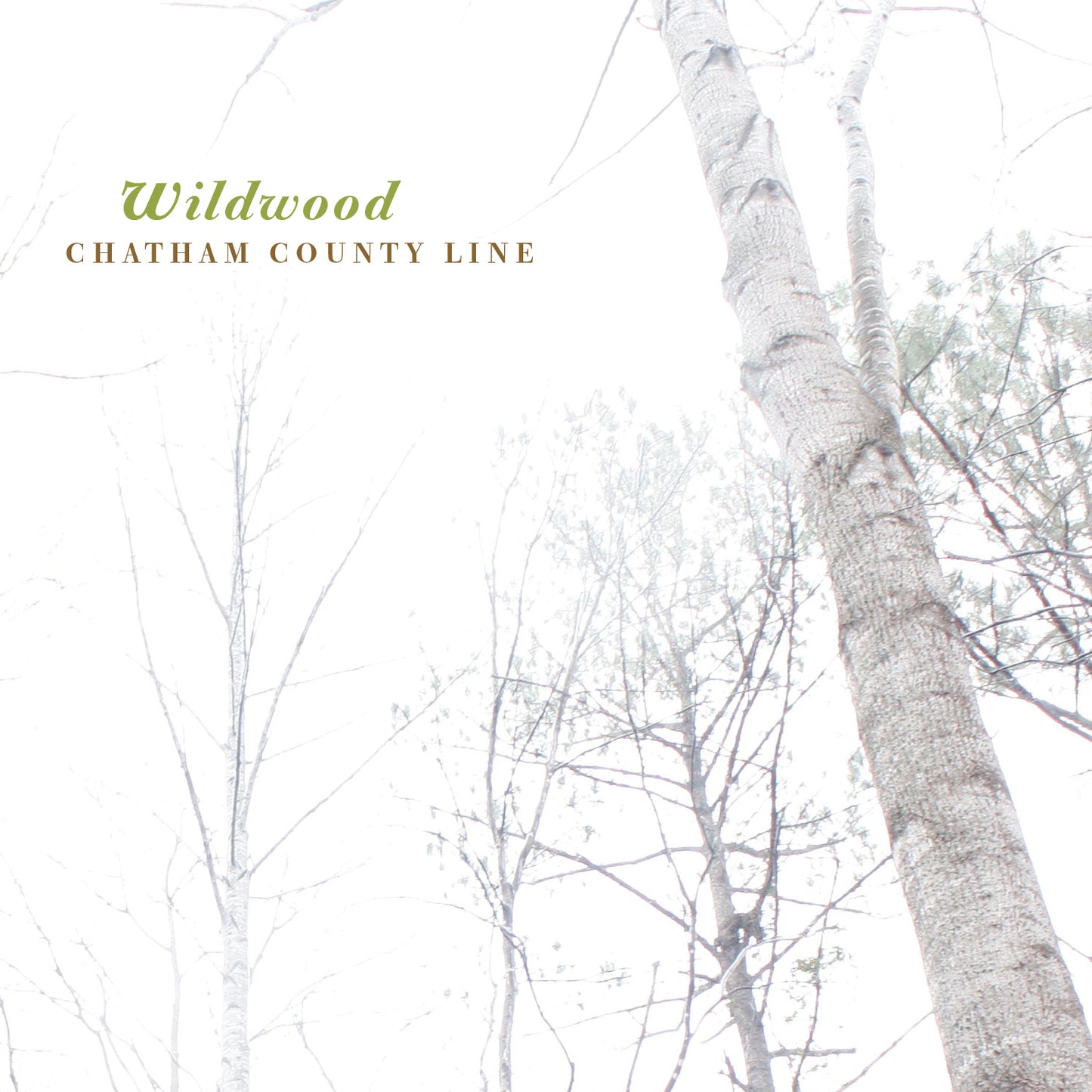 Wildwood [CD]