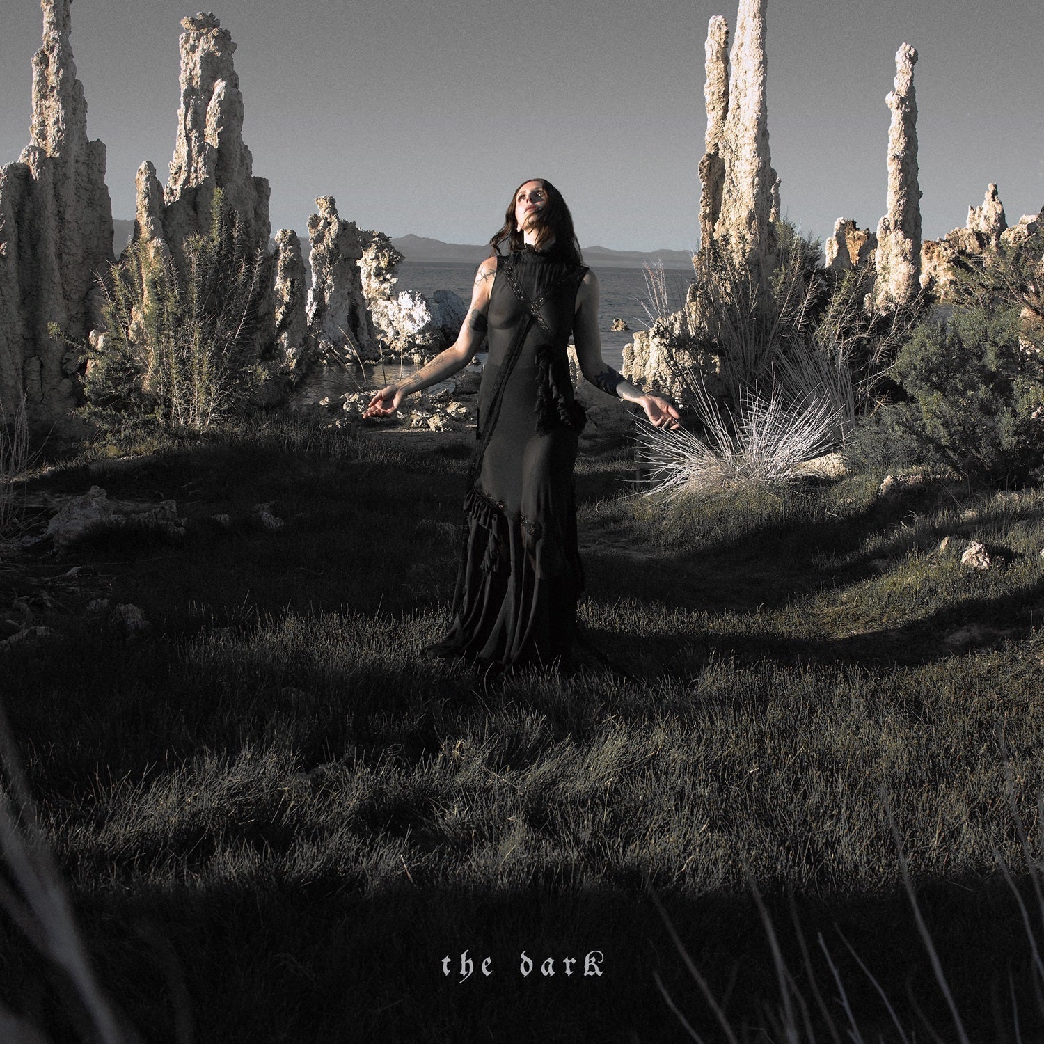 Chelsea Wolfe - The Dark [CD]