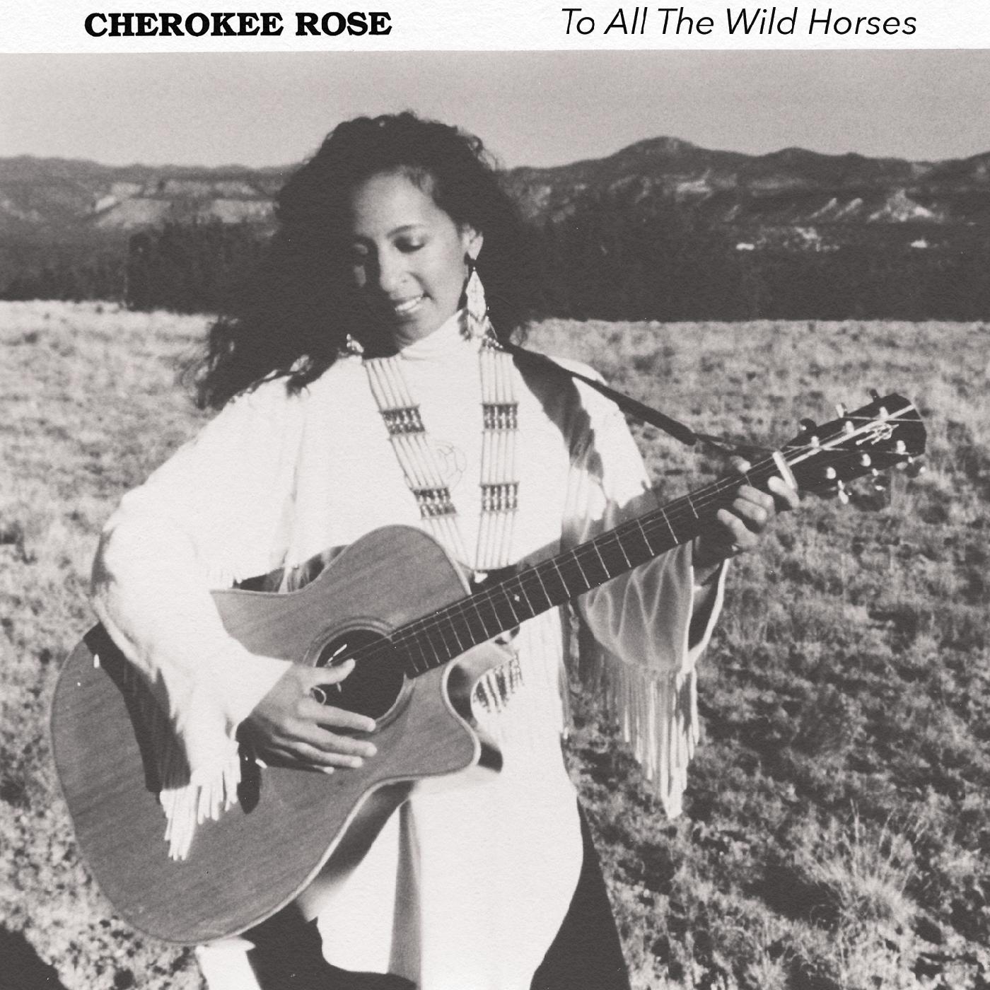 To All The Wild Horses [CD]