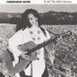 To All The Wild Horses [CD]