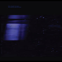They Will Never Burn The Stars [Vinyl] - Paladin Vinyl