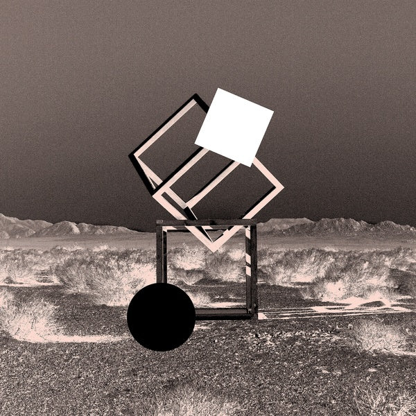 Endless Revisions Live [Vinyl]