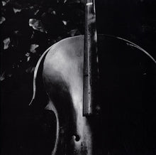 CHRISTOPHER FOX & ANTON LUKOSZEVIEZE - Re:play [Vinyl]